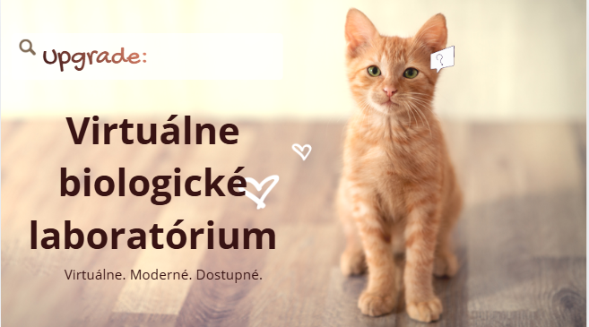 Video o tom, ako to celé začalo